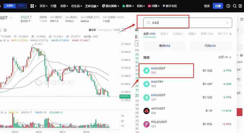 KAS币未来能涨多少？KAS币未来目标价预测